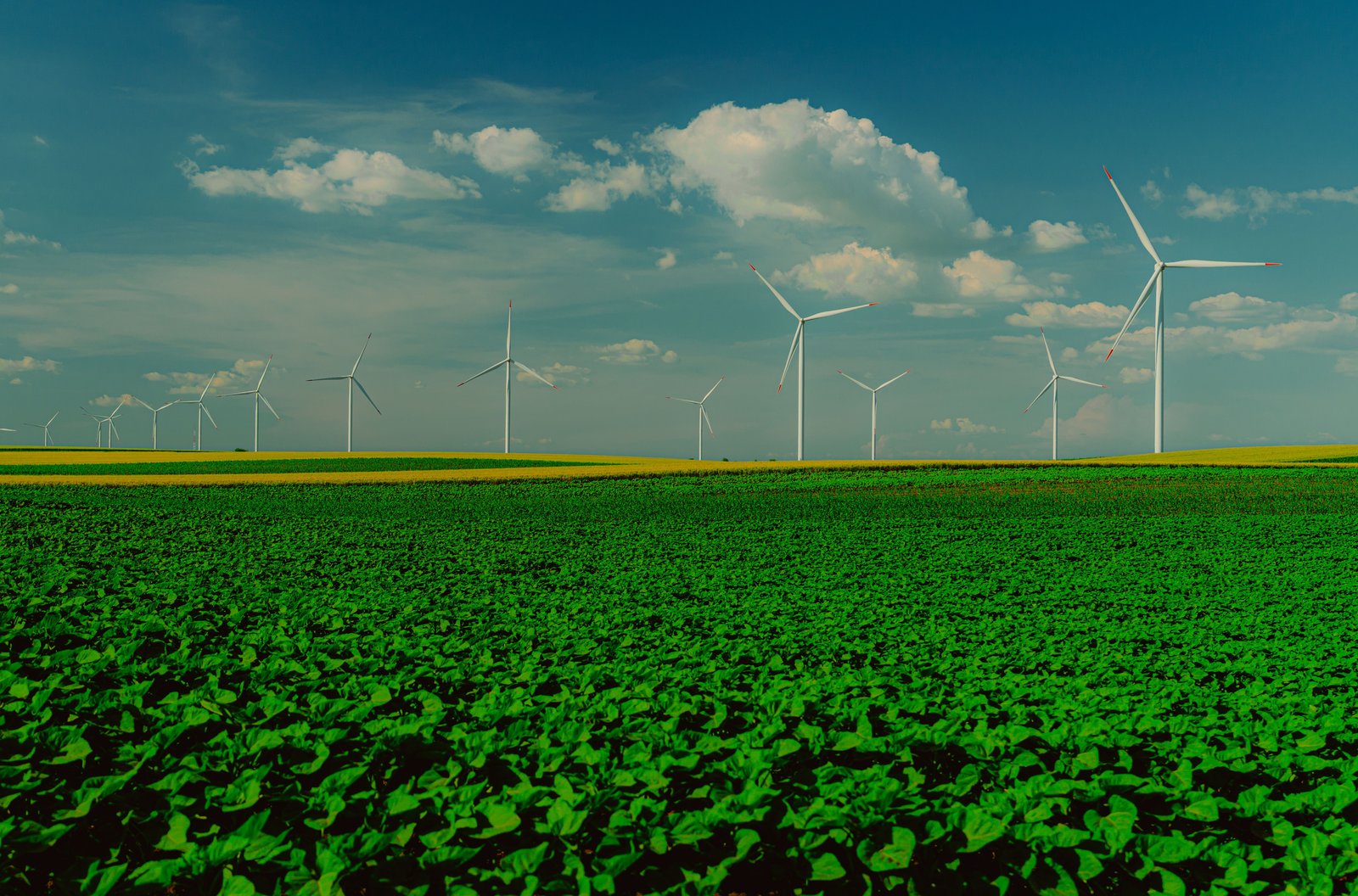 Wind turbines in a green field